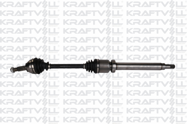 Drive Shaft (01010159)