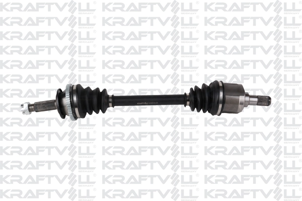 Drive Shaft (01010375)