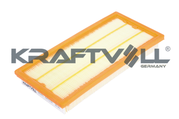 Air Filter (06010076)