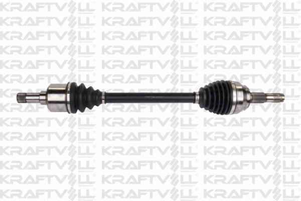 Drive Shaft (01010044)