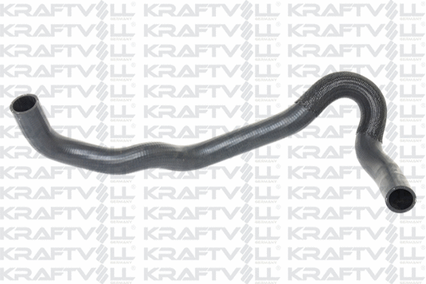 Radiator Hose (10032132)