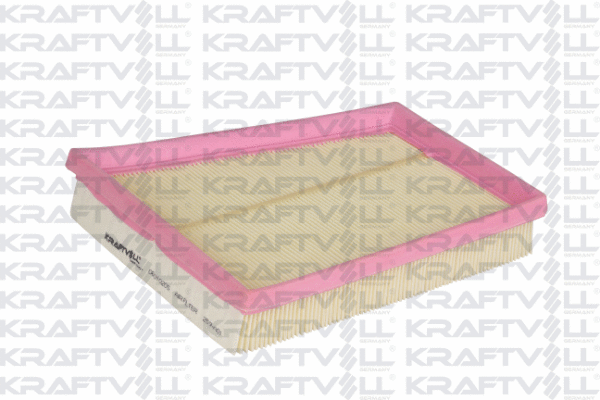 Air Filter (06010205)