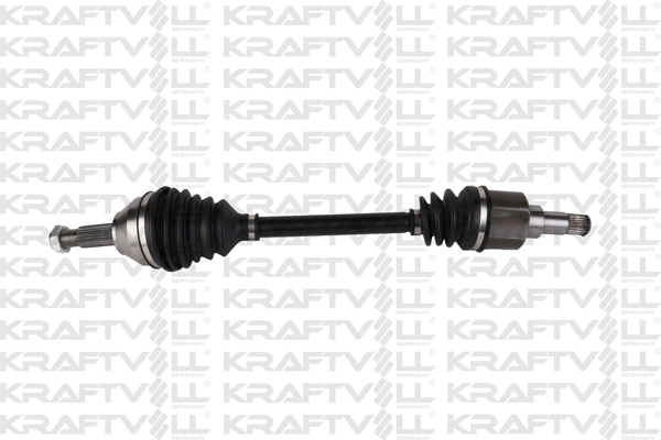 Drive Shaft (01010368)