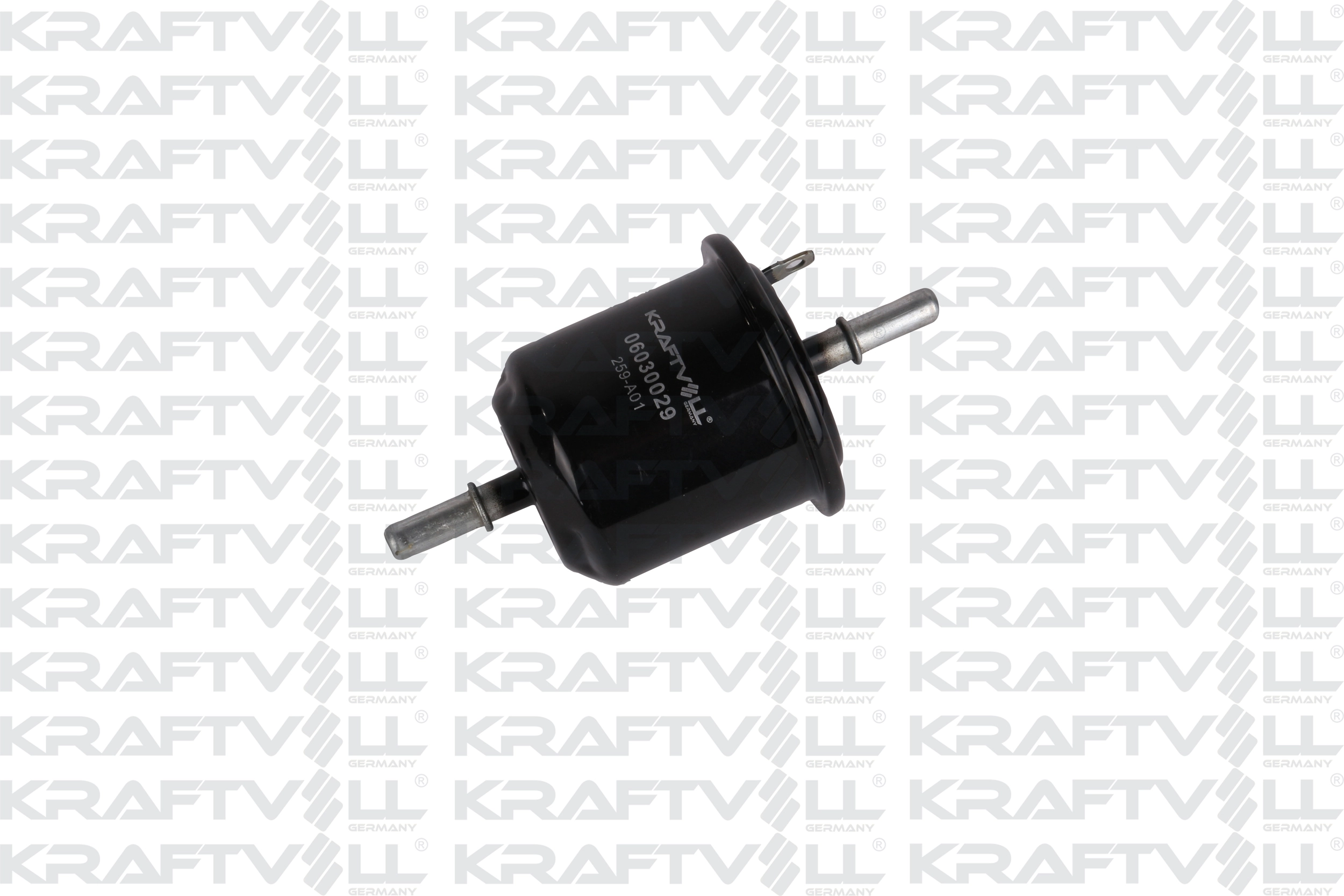 Fuel Filter (06030029)