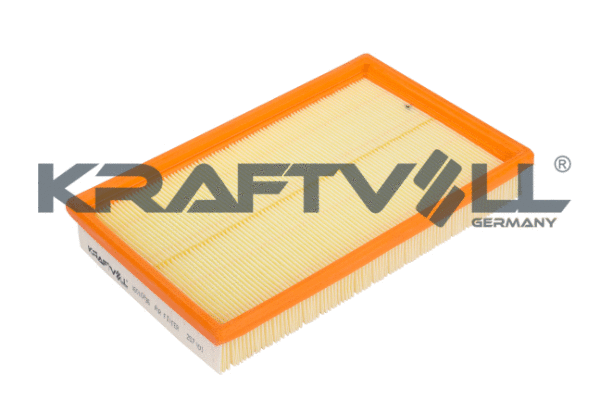 Air Filter (06010036)