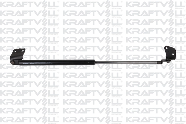 Gas Spring, boot/cargo area (09010266)