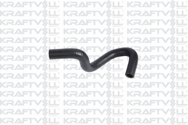 Radiator Hose (10031654)