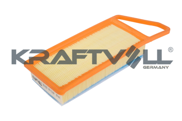 Air Filter (06010035)