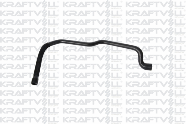 Radiator Hose (10032494)