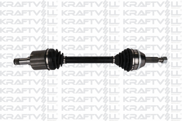 Drive Shaft (01010137)