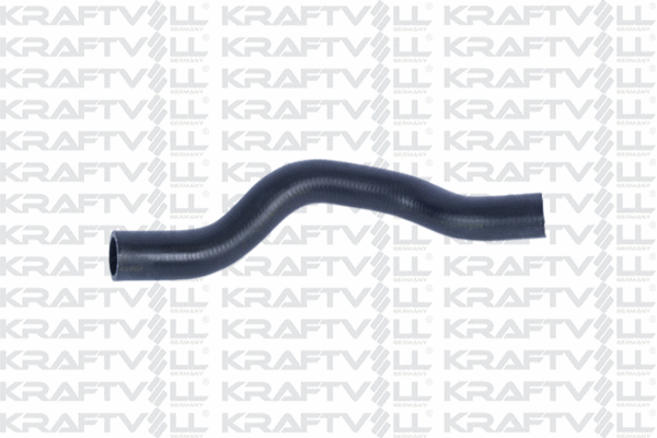 Radiator Hose (10032863)
