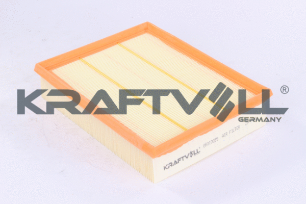 Air Filter (06010089)