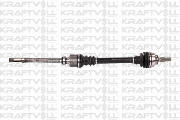 Drive Shaft (01010063)