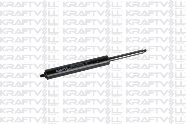 Gas Spring, boot/cargo area (09010309)
