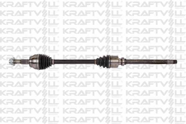 Drive Shaft (01010045)