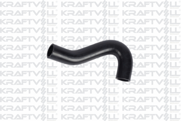 Radiator Hose (10032099)
