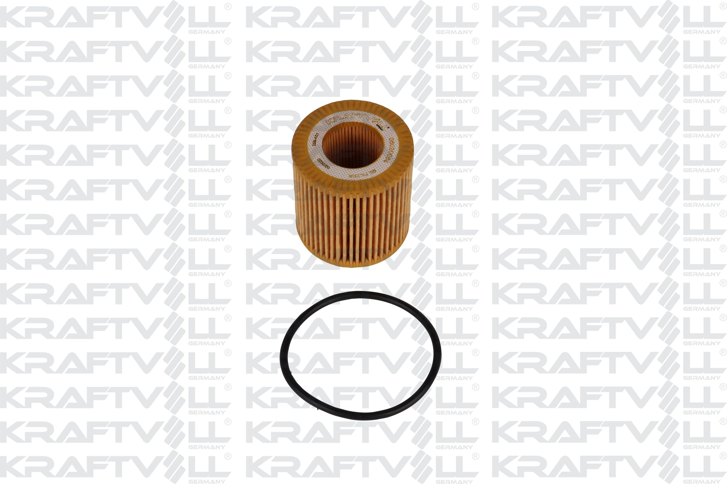 Oil Filter (06020064)