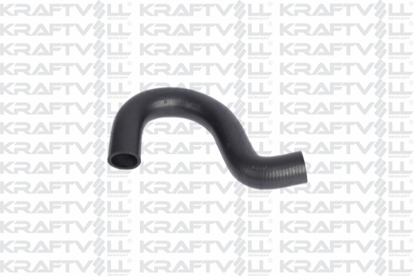 Radiator Hose (10031955)