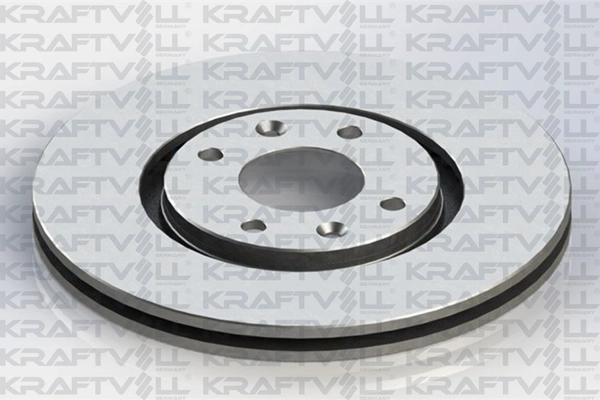 Brake Disc (07040258)