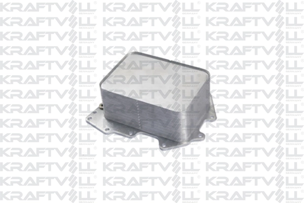 Oil Cooler, engine oil (08090263)