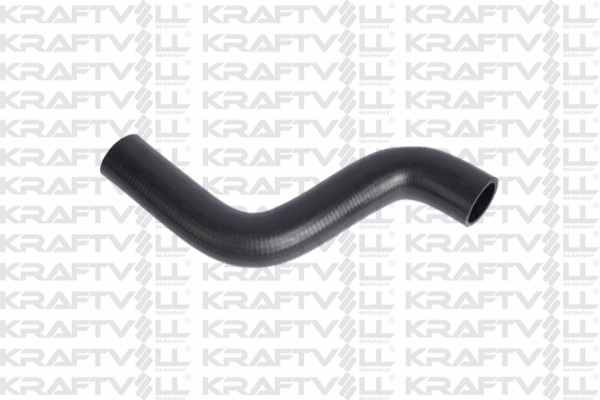 Radiator Hose (10032653)