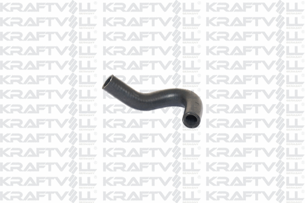 Radiator Hose (10032350)