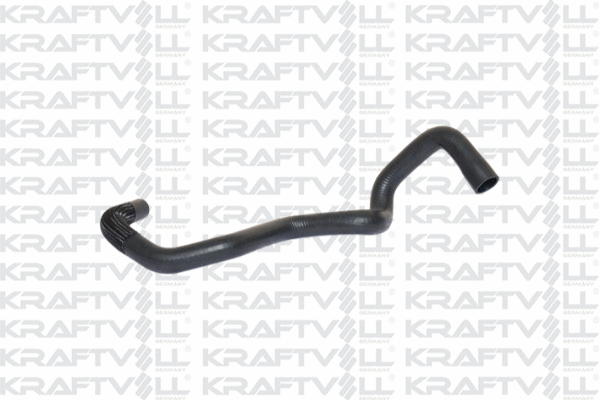 Radiator Hose (10031100)