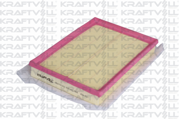 Air Filter (06010133)