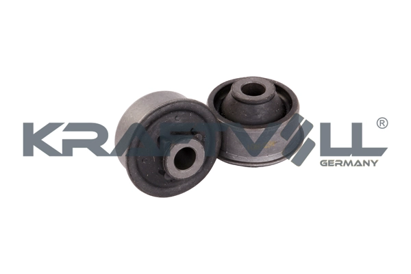 Mounting, control/trailing arm (10050174)