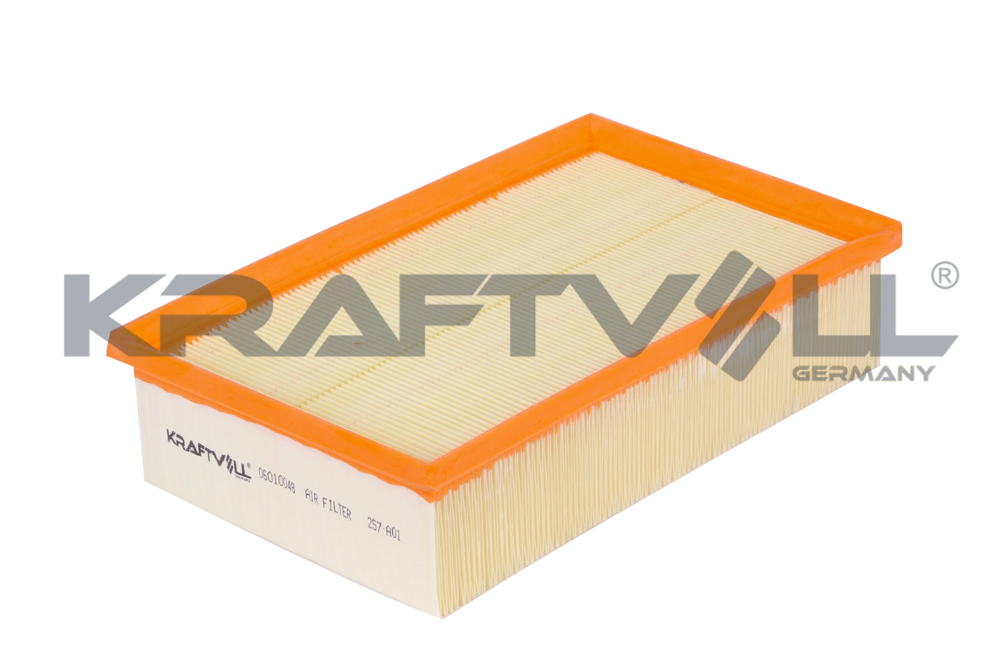 Air Filter (06010048)