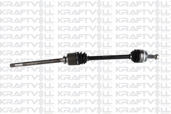 Drive Shaft (01010386)