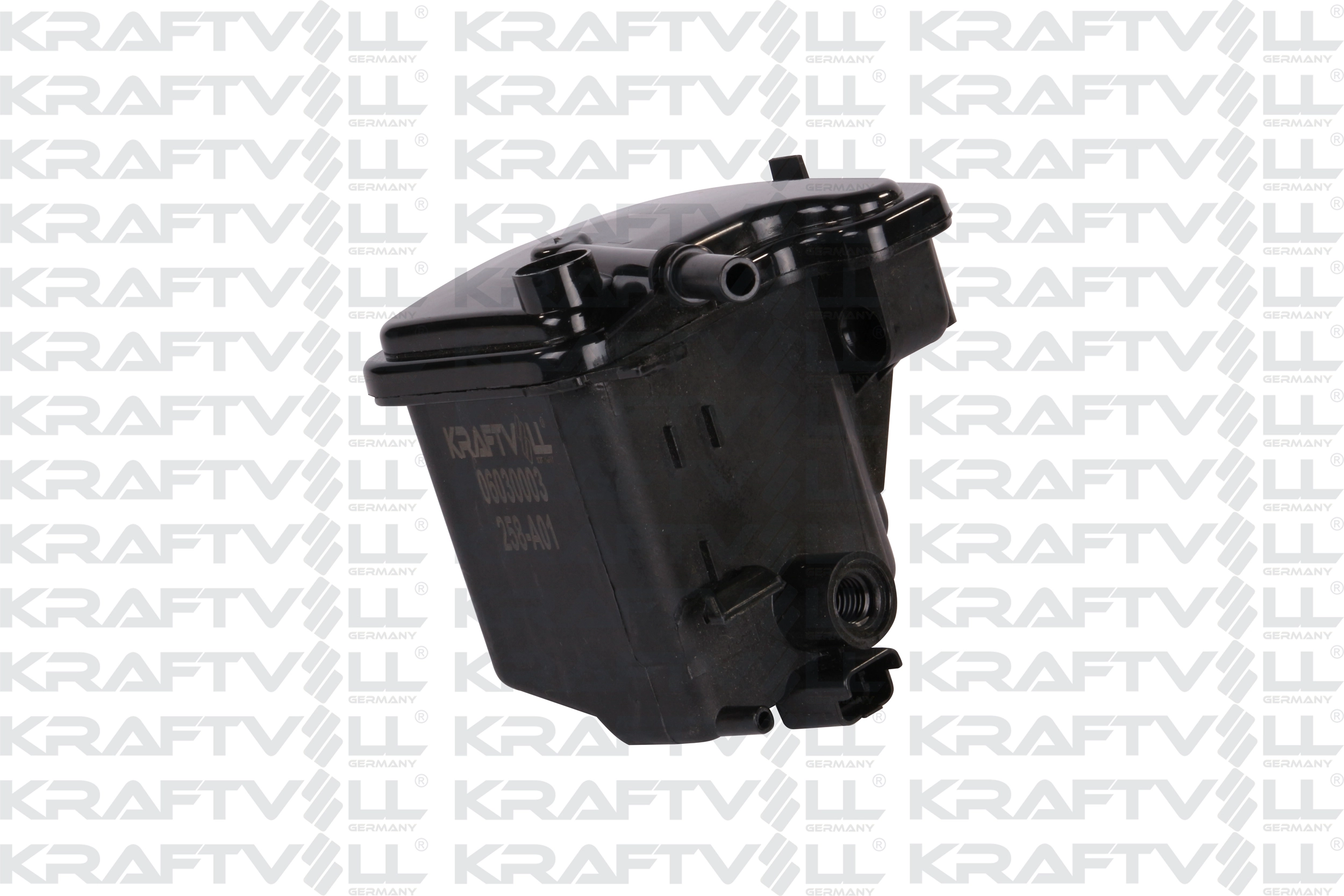 Fuel Filter (06030003)