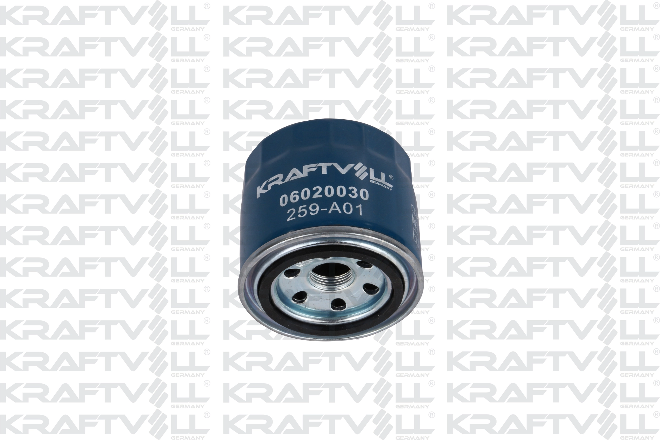 Oil Filter (06020030)