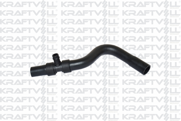 Radiator Hose (10031163)