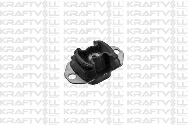 Mounting, engine (10010883)