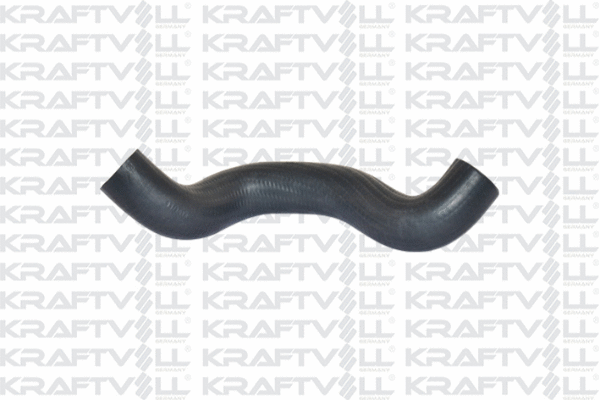 Charge Air Hose (10030970)