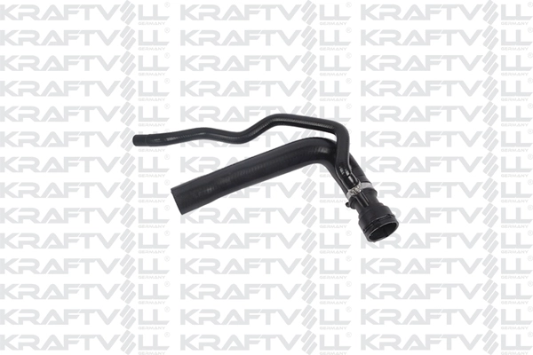 Radiator Hose (10034802)