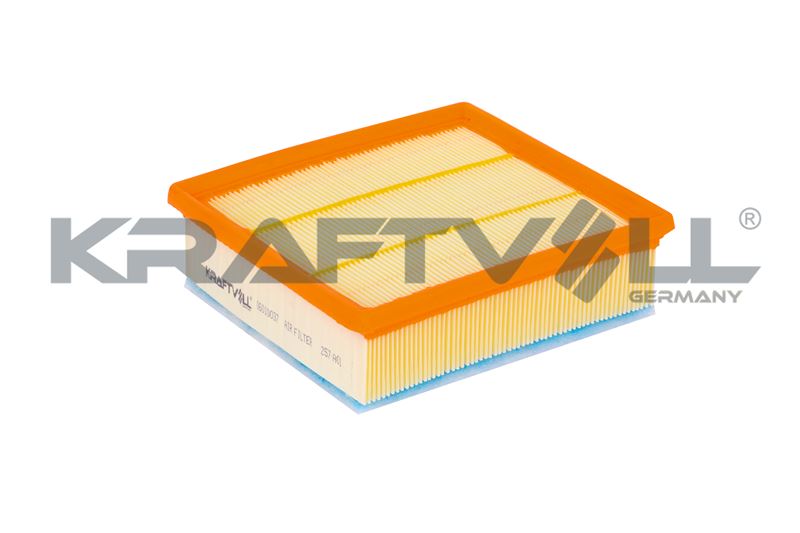 Air Filter (06010037)