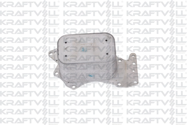 Oil Cooler, engine oil (08090034)
