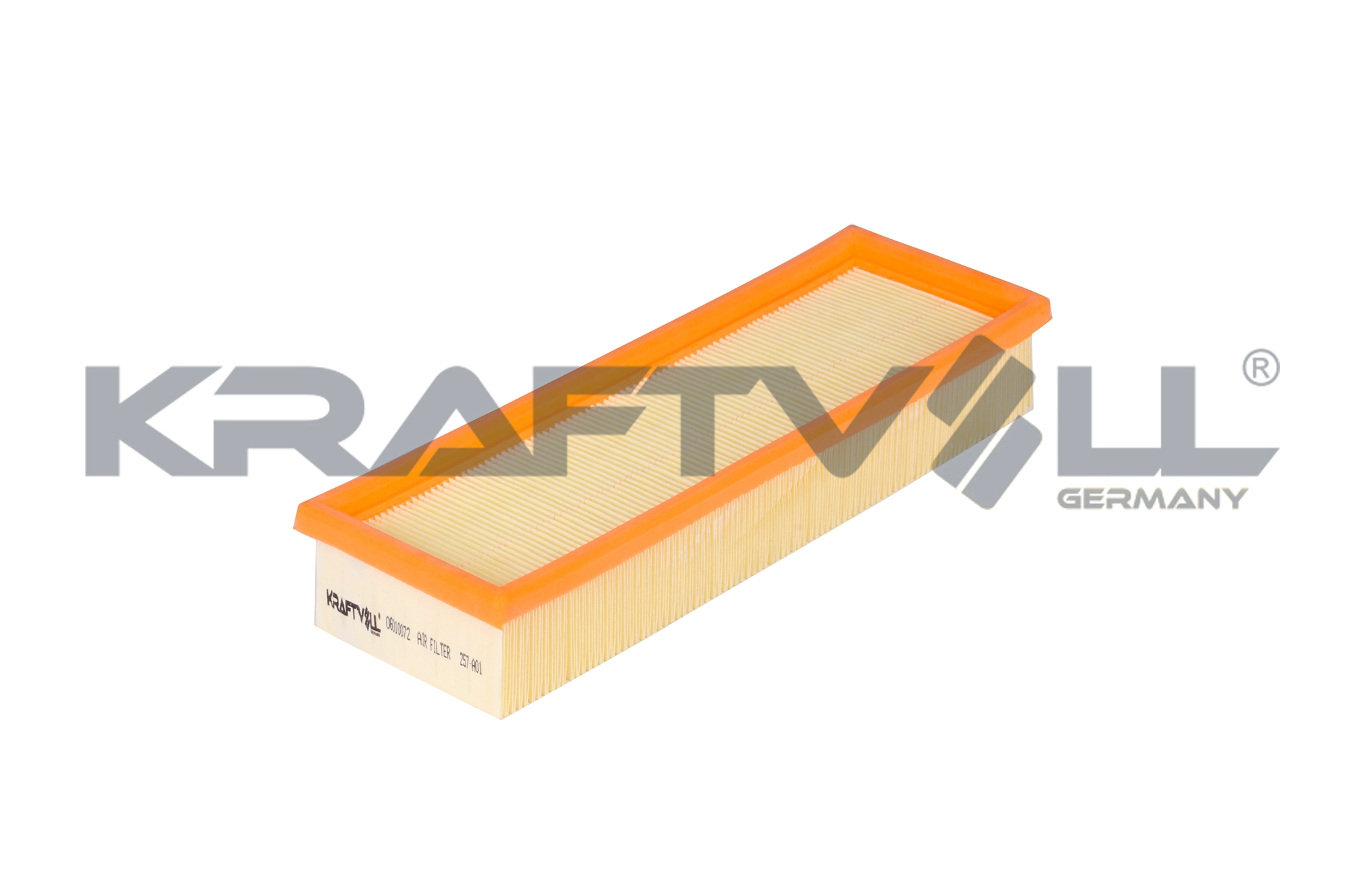 Air Filter (06010072)