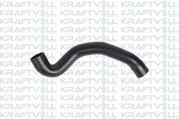 Radiator Hose (10031245)