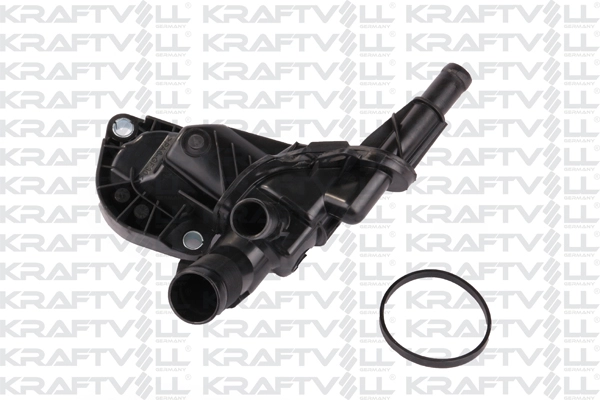 Thermostat, coolant (08100223)