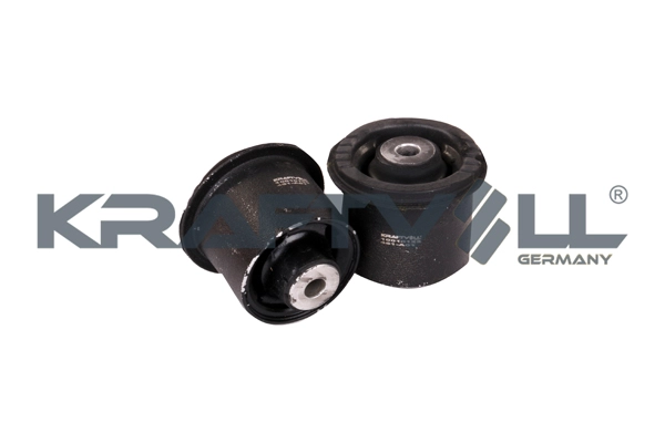 Bushing, axle beam (10010123)