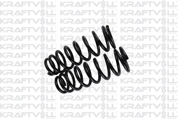 Suspension Spring (15020175)