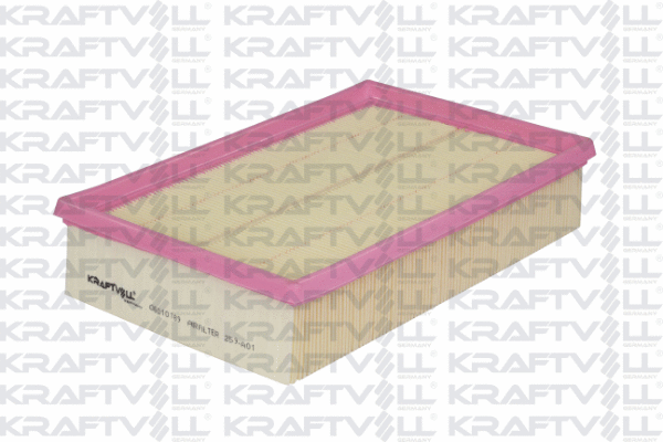 Air Filter (06010189)