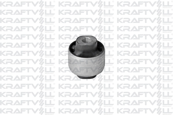 Mounting, control/trailing arm (10050233)