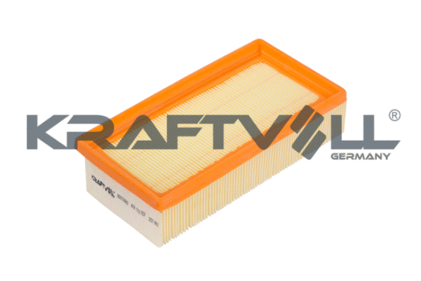 Air Filter (06010080)