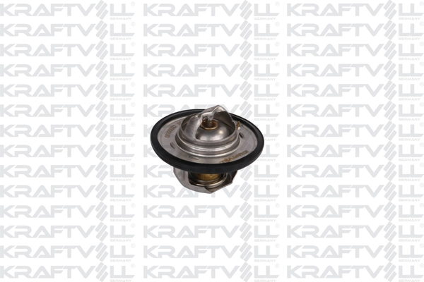 Thermostat, coolant (08100032)