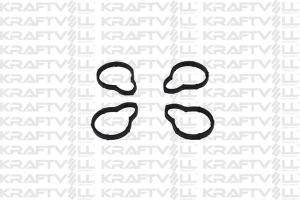 Gasket, intake manifold (12010243)