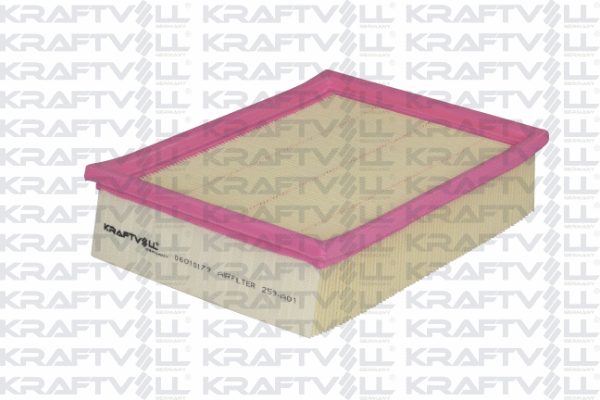 Air Filter (06010179)
